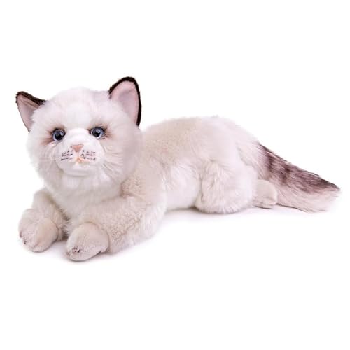 PuffPurrs Ragdoll Katze Plüsch, lebensechte Ragdoll Katze Stofftiere, niedliche 20 Zoll Plüschkatze, weiches Katzenspielzeug für Kinder von PuffPurrs