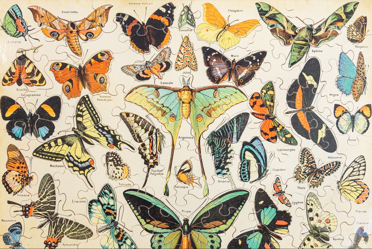 Puzzle Michèle Wilson Butterflies 100 Teile Puzzle Puzzle-Michele-Wilson-K1227-100 von Puzzle Michèle Wilson