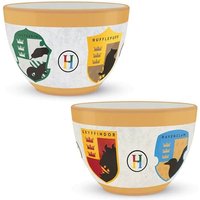 Harry Potter (house Pride Houses Crest) Huggy Mug von Pyramid Europe GmbH