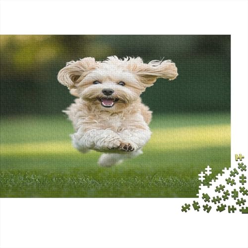 Shih Tzu. Puzzle 1000 Teile Puzzle Für Erwachsene Und Kinder Ab 14 Jahren Puzzel 1000pcs (75x50cm) von QBEGAMROL