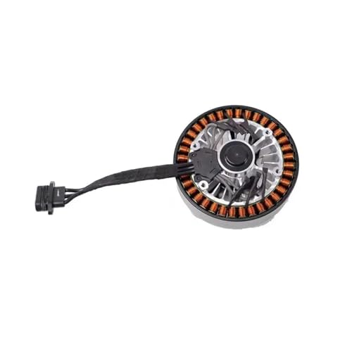 QBJSQYOT for D-JI T30 Motor 10018 mit Argas Pflanzenschutz Drohnen Zubehör Ersatzteile von QBJSQYOT