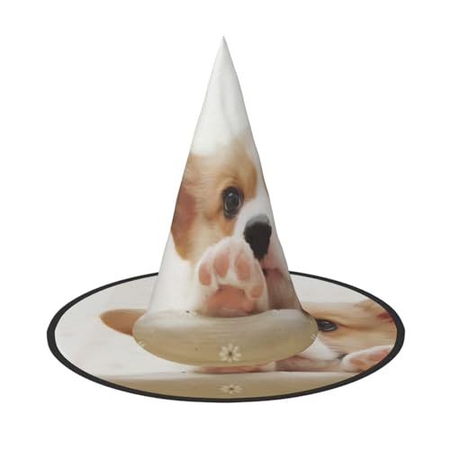 QGWDYYJQ Niedlicher Corgi bedruckter Halloween-Hut Hexenhut Halloween Glow Hat von QGWDYYJQ