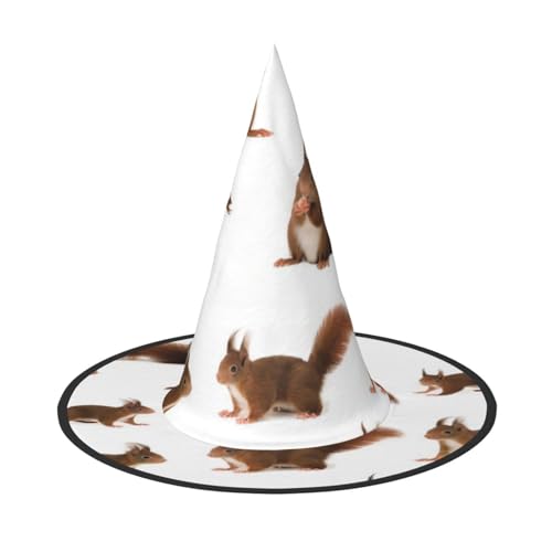 QGWDYYJQ Niedlicher Eichhörnchen-bedruckter Halloween-Hut Hexenhut Halloween Glow Hat von QGWDYYJQ