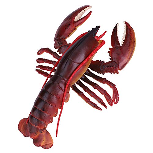 Simulation Hummer, langlebiger Kunststoff-Hummer, sicher mit(Dark-Australian Lobster, 23cm) von QIRG