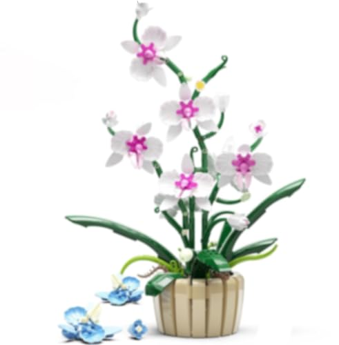 QLT Blumen MC335 von QLT QIAOLETONG