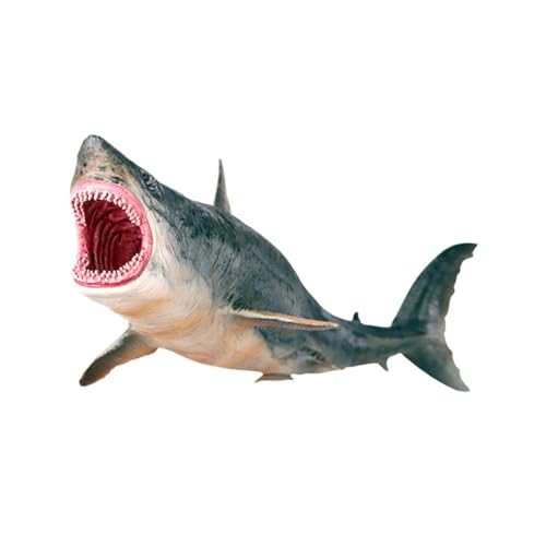 QOKLIYUI Meereslebewesen Spielzeug, lebensechter Hai für und Erwachsene, Modelle, Spielzeug, pädagogische Simulation, lebensechtes Tierspielzeug, realistisches Tier, Megalodon von QOKLIYUI