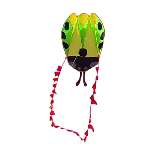 QSTDGVPW Ladybug Soft Kite Flying Toy Animal geformt Kite Sport Kite für Spielplatz Geburtstagsgeschenk, GrÜn von QSTDGVPW