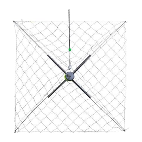 QSTDGVPW Netz, Werkzeug, Tragbar, Faltbar, Robuster Stahlkorb, Garnelen Und Flussfischkäfig, Große Maschen, Ausgeklappt 50cm QSTDGVPW Netz, Werkzeug, Tragbar, Faltbar, Robuster Stahlkorb, Garnelen Und Flussfischkäfig, Große Maschen, Ausgeklappt 50cm von QSTDGVPW