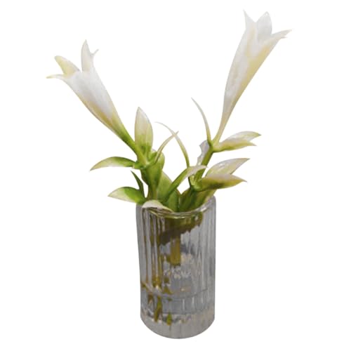 QUMIIRITY Miniatur Lilien Modell Vase Künstliche Kleine Blume Miniatur Dekoration Puppenhaus Garten Tischdeko Realistisch Lebensnah QUMIIRITY Miniatur Lilien Modell Vase Künstliche Kleine Blume Miniatur Dekoration Puppenhaus Garten Tischdeko Realistisch Lebensnah von QUMIIRITY