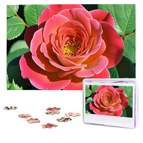 Puzzles, 1000 Teile (74,9 x 50 cm), personalisierte Puzzle, helle Rose, herausforderndes Fotopuzzle mit Aufbewahrungstasche, Bilderpuzzle für Erwachsene und Familie von QVUEagriSJ