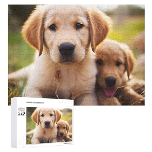 Puzzle für Erwachsene, 520 Teile, niedlicher Golden Retriever-Welpe, herausforderndes Puzzle, perfekt für Spielabende, fertiges Puzzle, Größe ist 50,5 x 38,1 cm von QWJKM