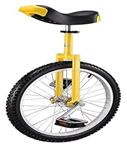 QZLNONTK Verstellbarer Heimtrainer mit Radbalance – Fitness-Scooter mit 150 kg Kapazität for Zirkusvorstellungen(Unique Colour,16inches) von QZLNONTK