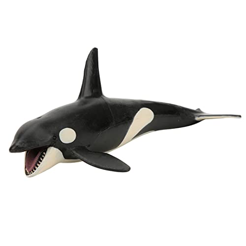 Qcwwy Modell der Ballena Asesina Desktop Dekoration Bildungsspielzeug für und Lehrer Plastik 19x10x7.5 cm Qcwwy Modell der Ballena Asesina Desktop Dekoration Bildungsspielzeug für und Lehrer Plastik 19x10x7.5 cm von Qcwwy