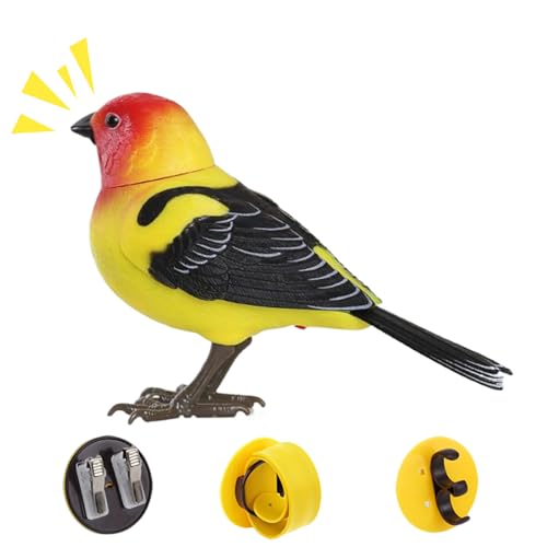 Qfdiwr Spielzeug für künstliche Vögel, realistisches Vogelspielzeug mit Liedern und Musik, elektrisches Bürotier für Frauen, Männer und Qfdiwr Spielzeug für künstliche Vögel, realistisches Vogelspielzeug mit Liedern und Musik, elektrisches Bürotier für Frauen, Männer und von Qfdiwr