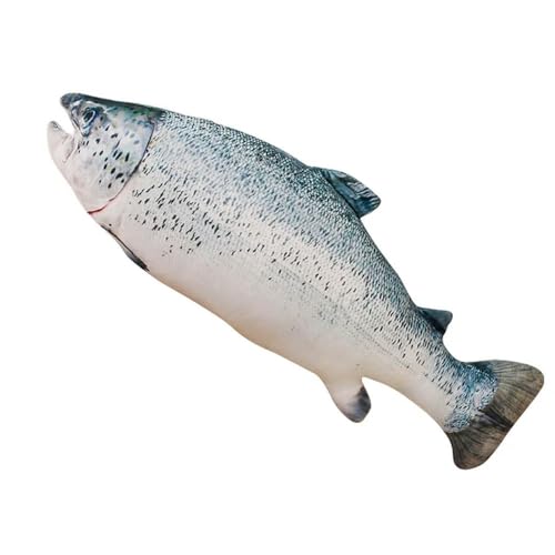 QhBdjx 3D Karpfen Plüsch Kissen Plüsch süßes Tier Fisch Puppe Kinder kreatives Geburtstagsgeschenk 20cm 1 von QhBdjx