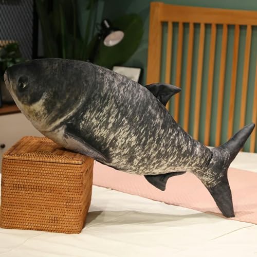 QhBdjx Fisch Plüsch Spielzeug Plüsch Tier Karpfen Plüsch Kissen Kreative Schlafmatte Kinder Mädchen Weihnachten Geschenk Geburtstagsgeschenk 40cm 4 von QhBdjx