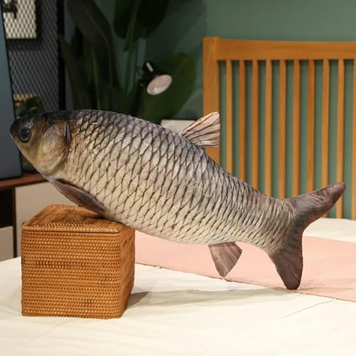 QhBdjx Fisch Plüsch Spielzeug Plüsch Tier Karpfen Plüsch Kissen Kreative Schlafmatte Kinder Mädchen Weihnachten Geschenk Geburtstagsgeschenk 60cm 5 von QhBdjx