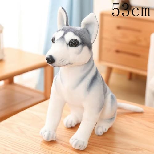 QhBdjx Hochwertige Hund Plüsch Spielzeug Plüsch Lebensechter Husky Hund Kawaii Puppe Home Decor Cartoon Kinder Jungen Mädchen Geburtstagsgeschenke 53cm 1 von QhBdjx