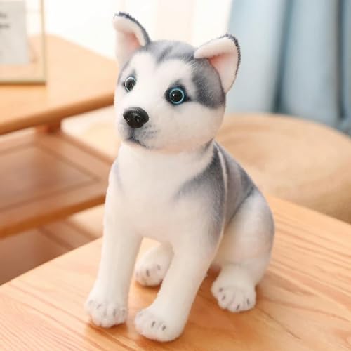 QhBdjx Husky Plüschtiere Welpen Tiere niedliche Hund Plüsch Kawaii Kinder Puppen Geburtstagsgeschenke Kinder Jungen 25cm 3 von QhBdjx