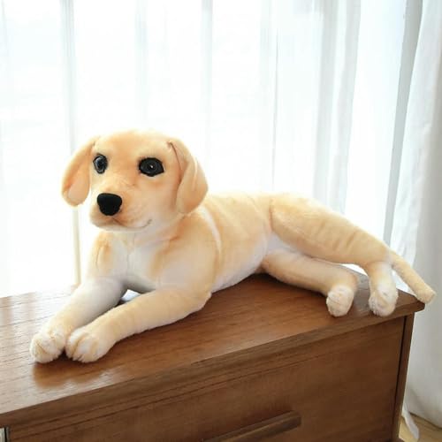 QhBdjx Niedliche Golden Retriever Hund Plüschtiere Kawaii Plüsch Lebensechte Tierpuppen Kindergeburtstagsgeschenke Zimmerdekoration 40cm 1 von QhBdjx