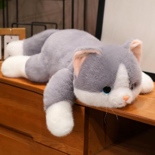 QhBdjx Süße Katze Plüschtier weiche Tierpuppe für Kinderkissen Geburtstagsgeschenk 65CM 3 von QhBdjx