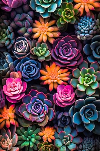 Puzzle 1314 Teile Erwachsene Sukkulenten 75 x 50 cm Puzzles für Erwachsene Pädagogisches Spiel Herausforderung Spielzeug Impossible Puzzle 1314 Teile Puzzles Puzzle 1314 Teile Erwachsene Sukkulenten 75 x 50 cm Puzzles für Erwachsene Pädagogisches Spiel Herausforderung Spielzeug Impossible Puzzle 1314 Teile Puzzles von QiHon