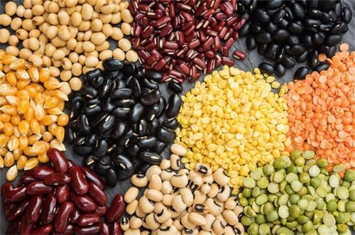 Puzzle 300 Teile Erwachsene Essen 40 x 28 cm Puzzles für Erwachsene Pädagogisches Spiel Herausforderung Spielzeug Impossible Puzzle 300 Teile Puzzles Puzzle 300 Teile Erwachsene Essen 40 x 28 cm Puzzles für Erwachsene Pädagogisches Spiel Herausforderung Spielzeug Impossible Puzzle 300 Teile Puzzles von QiHon