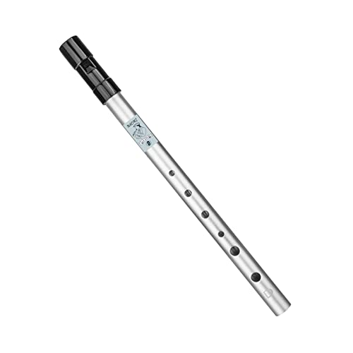 Qianly Flötenpfeife Aus Aluminiumlegierung, Blechpfeife Penny Whistle für Anfänger Und Kinder, 29 cm Silber von Qianly