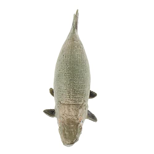 Qianly Miniatur Meerestiere Spielzeugfiguren für Kinder, Alligator Gar - A von Qianly