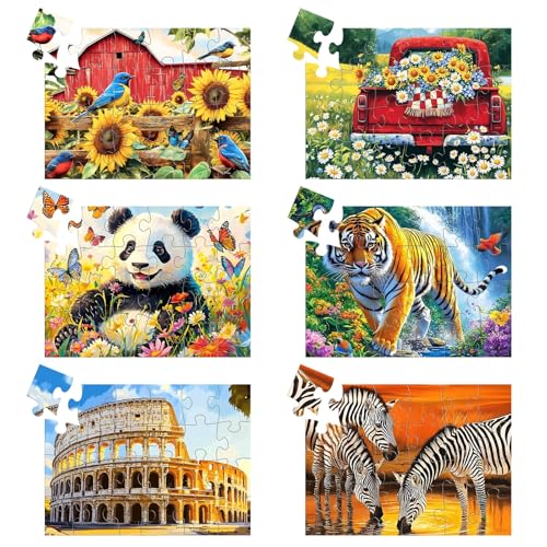 4 Packungen mit 24 großen Puzzleteilen für Senioren – Demenz-Puzzles für ältere Erwachsene, Alzheimer-Puzzles, Gedächtnisspiele für ältere Senioren mit 4 Aufbewahrungstaschen von Qingdewan