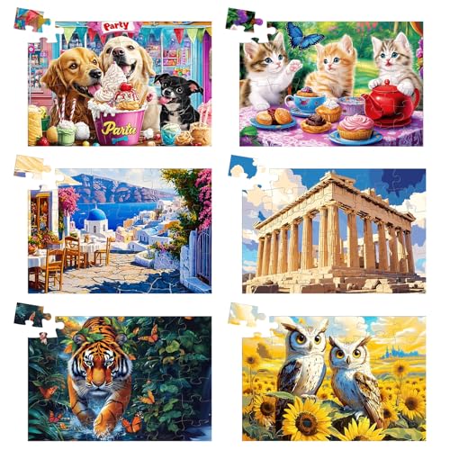 6 Pack 36 große Teile Puzzle, einfache Puzzles für Senioren, Spiele für Senioren mit Demenz, mit Unterhaltung und therapeutischem Wert, kommt mit 6 Taschen, nachdenkliches Geschenk für von Qingdewan