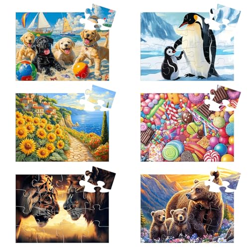 6 Packungen 16 große Teile Puzzle für Senioren – Demenz-Puzzles für ältere Erwachsene, einfaches Puzzle, Alzheimer-Gedächtnis, kognitives Spiel, Geschenk für Patienten im Pflegeheim, mit 6 von Qingdewan