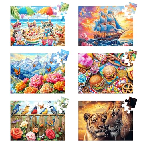 6 Packungen 24 große Teile Puzzle für Senioren – Demenz-Puzzles für ältere Erwachsene, einfaches Puzzle, Alzheimer-Gedächtnis, kognitives Spiel, Geschenk für Patienten im Pflegeheim, mit 6 von Qingdewan