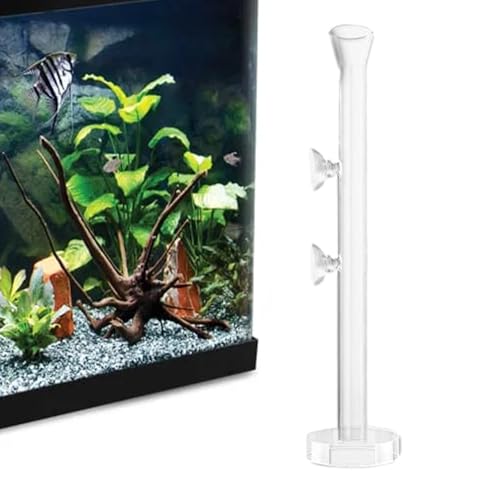 Qizeroty Garnelen-Futterrohr | Kristallklares Glas-Aquarium-Fisch-Garnelen-Futterhaus - Aquarium-Garnelen-Futterrohr, Garnelen-Futternapf, Schüssel, Aquarium-Fütterungszubehör von Qizeroty