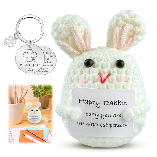 Qnynnty Lustiger Positive Kaninchen Puppe Pocket Hug Kleiner Glücksbringer Positives Kaninchen Geschenk Süßes Gestricktes Puppe mit Schlüsselanhänger Mutmacher Geschenk für Freunde Party-Dekoration von Qnynnty