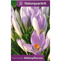 Heimische Blütenpflanzen von Quelle & Meyer