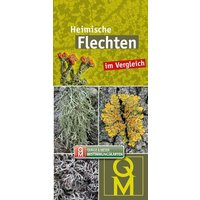 Heimische Flechten im Vergleich von Quelle & Meyer