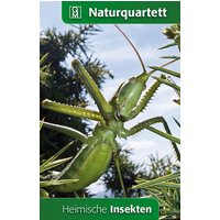 Heimische Insekten von Quelle & Meyer