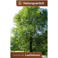 Heimische Laubbäume von Quelle & Meyer