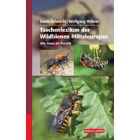 Taschenlexikon der Wildbienen Mitteleuropas von Quelle & Meyer