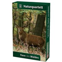 Tiere des Waldes (Kartenspiel) von Quelle & Meyer