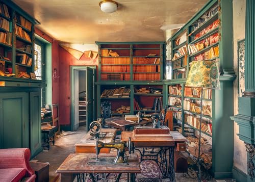 Ravensburger Puzzle - Singer Library - Lost Places 1000 Teile von Ravensburger