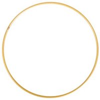 RAYHER 2505206 Metallringe beschichtet, 20cm ø, gold von RAYHER®