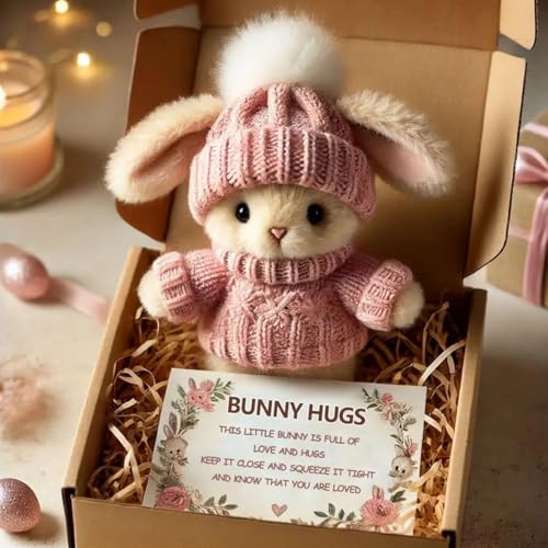 Mini Bunny Hug Cute Easter Gift, Bunny Stuffed Animal Sets, Handmade Plush Pocket Hug Rabbit Doll, Cute Emotional Support Positive Crochet Bunny Gift for Valentine's Day Easter(Rosa) von RDCIRP