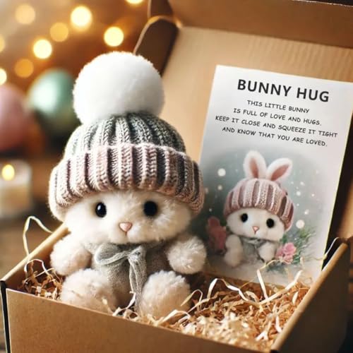 Mini Bunny Hug Cute Easter Gift, Bunny Stuffed Animal Sets, Handmade Plush Pocket Hug Rabbit Doll, Cute Emotional Support Positive Crochet Bunny Gift for Valentine's Day Easter(grau) von RDCIRP