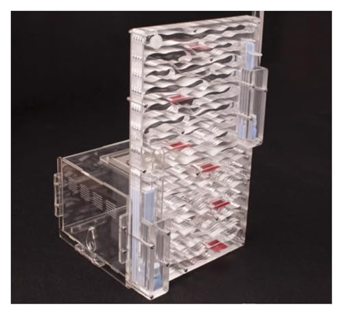 Ameisenfarm Formicarium Acryl-Ameisenburg, Heim- Und Schulstudie, Ameisenverhalten Und Ökosystem, Ameisennest, Farm, Ameisenlebensraum, Wissenschaftsset Ameisenfarm für Draußen(Rood) von REIFOR