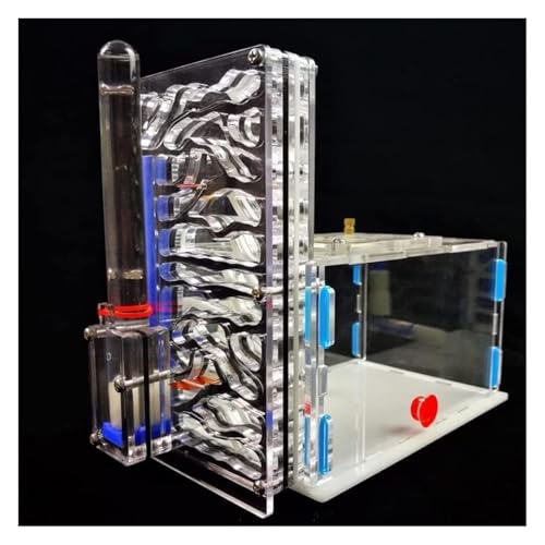 Ameisenfarm Formicarium Ameisenburg Aus Acryl, Biologieunterricht, Ameisen, Wissenschaftsbausatz Für Selbermachen, Ameisenfarm, Ameisenlebensraum Beobachten, Ameisennestfarm Ameisenfarm für Draußen(Bl von REIFOR