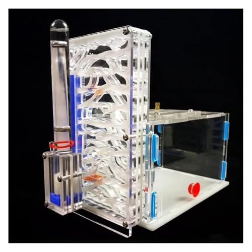 Ameisenfarm Formicarium Ameisenburg Aus Acryl, Biologieunterricht, Ameisen, Wissenschaftsbausatz Für Selbermachen, Ameisenfarm, Ameisenlebensraum Beobachten, Ameisennestfarm Ameisenfarm für Draußen(Wh von REIFOR
