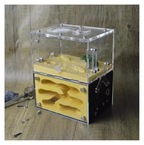 Ameisenfarm Formicarium Ameisenburg Nachahmung Original Ökologisches Betonnest Burg Werkstatt Zuhause Ameisennest Farm Ameisenfarm Ameisenfarm für Draußen(Yellow) von REIFOR