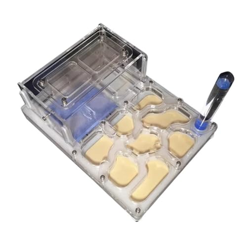 Ameisenfarm Formicarium Ameisenburg Nest Ameisenzuchtkasten Ameisenburg Ameisenzucht Ameisennest Farm Ameisenfarm für Draußen(White) von REIFOR